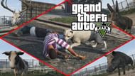 More animals please (Image via YouTube/@Rajman Gaming HD)